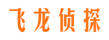 矿区市侦探公司